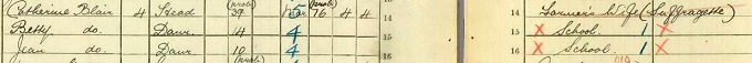 1911 census return for suffragette