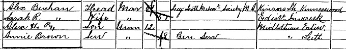 1881 Census record for Alexander Buchan