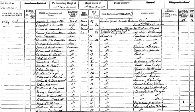 1871 Census record for William Burrell