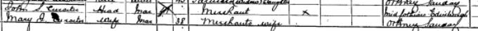 1891 Census record for Stanley Cursiter, page 17