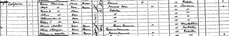 1891 Census record for Alexander Fleming