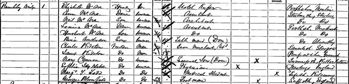 1891 Census record for Sophia Jex-Blake