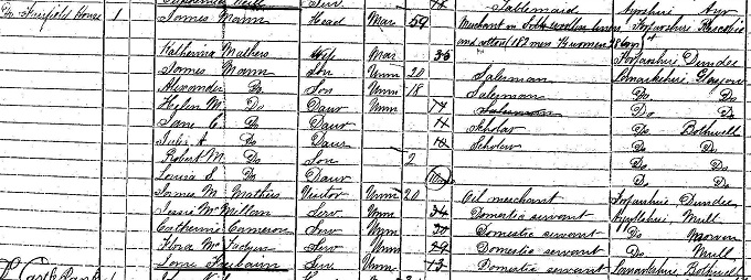 1871 Census record for Alexander Mann