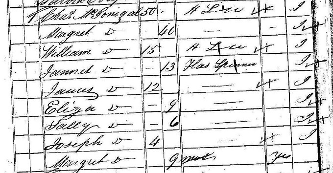 1841 census return for William McGonagal