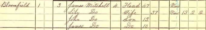 1911 Census record for James Leslie Mitchell