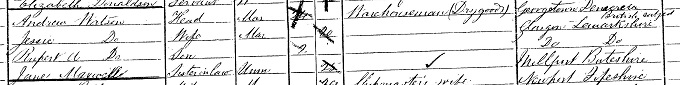 1881 Census return for Andrew Watson