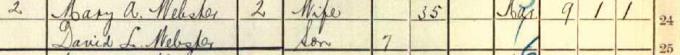 1911 Census record for David Webster, part 1