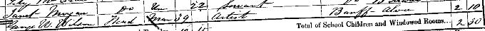 1861 Census record for George Washington Wilson