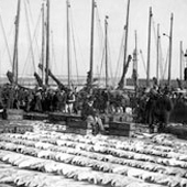 Photograph of fish market at Newhaven harbour, Edinburgh, late nineteenth century (Crown Copyright, National Records of Scotland,GD265/16/16/1)