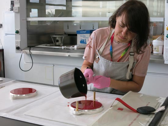 Photograph showing Eva Martinez Moya in our conservation team pours the wax