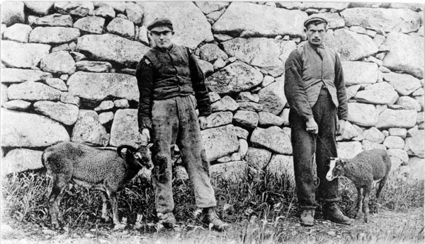 Islanders and Soay sheep, c1913 (National Records of Scotland, GD1/713/1)
