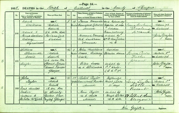 Register of Deaths, 1895, 560/entry 101