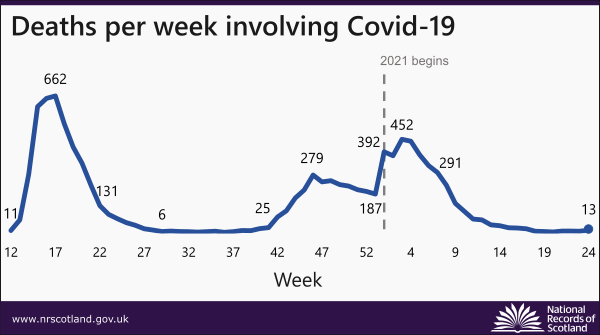 covid-deaths-21-news-chat-week-24