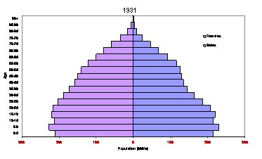 Example of a Population Pyramid