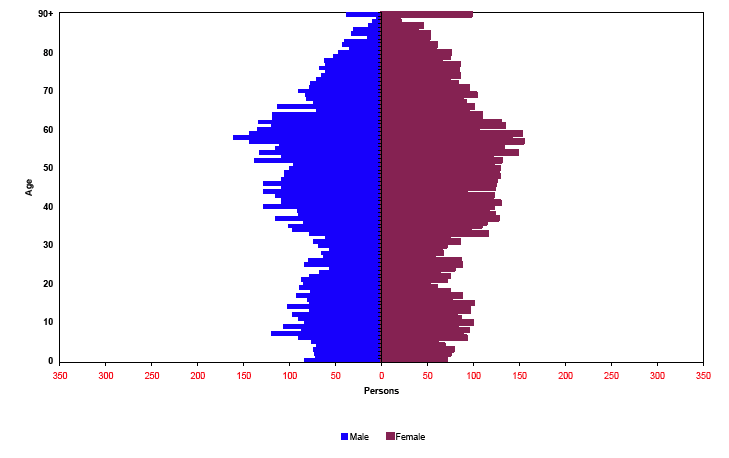 Figure 1.2a: Estimated population by age and sex, CNP, 2006