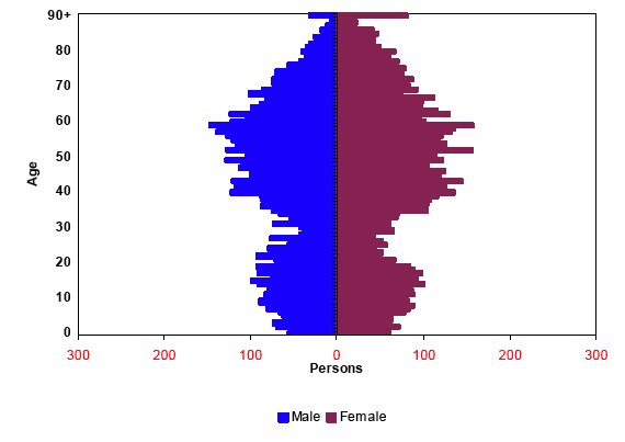 Figure 1.4a: Estimated population by age and sex, LLTNP, 2006