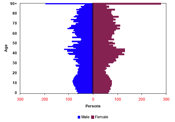 Figure 1.4b: Projected population by age and sex, LLTNP, 2031
